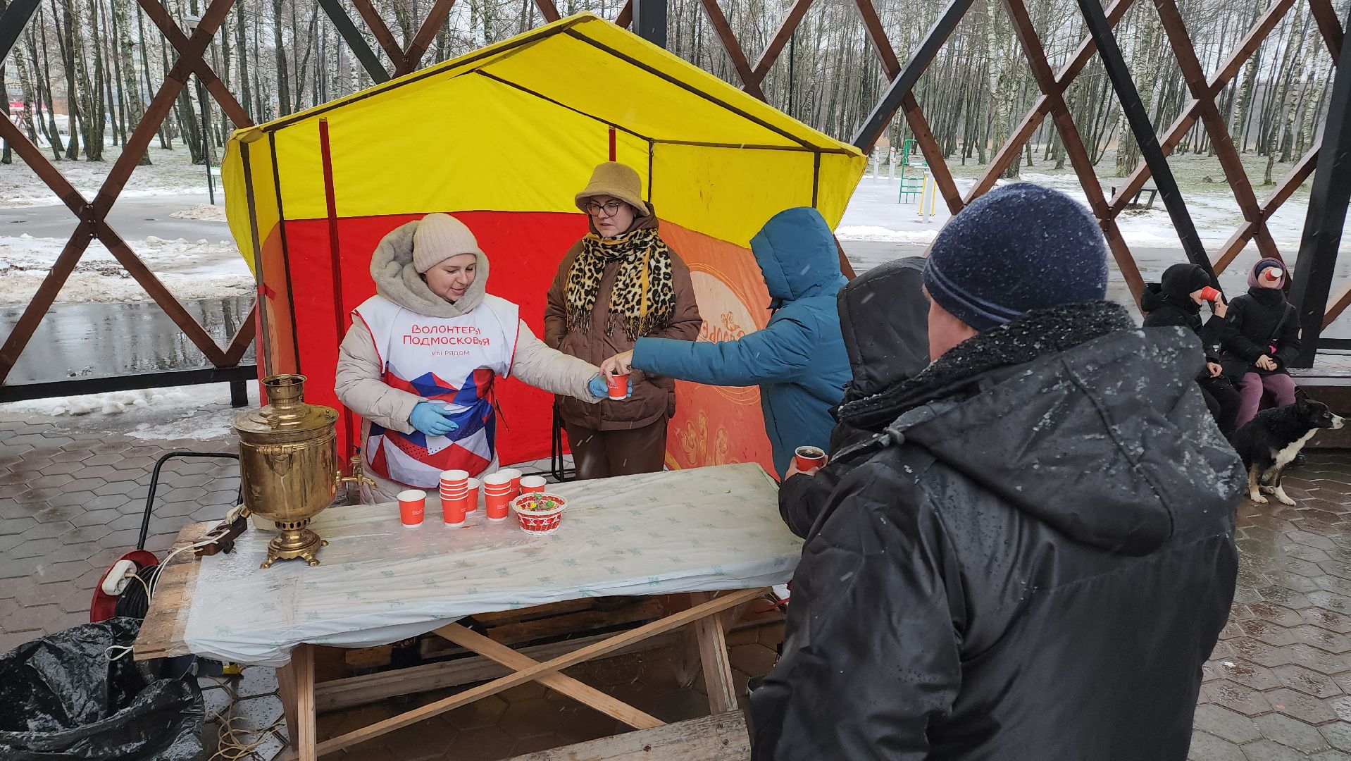 Егорьевск, Подмосковье, Московская область, парк,вертикалки, зима в подмосковье,