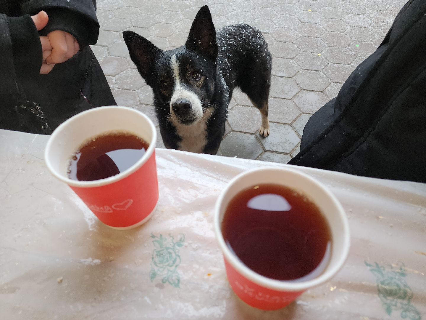 Егорьевск, Подмосковье, Московская область, парк,вертикалки, зима в подмосковье,