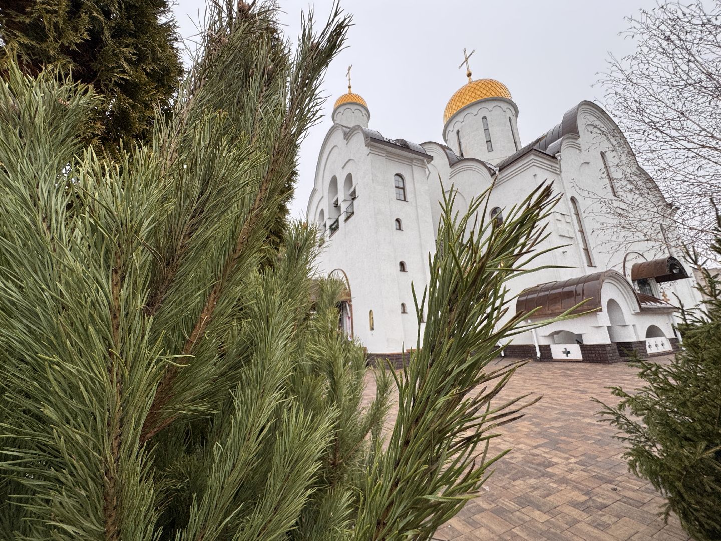 Храм Рождества Иоанна Предтечи, Лесной городок крещение, вертикалки, крещение господне,