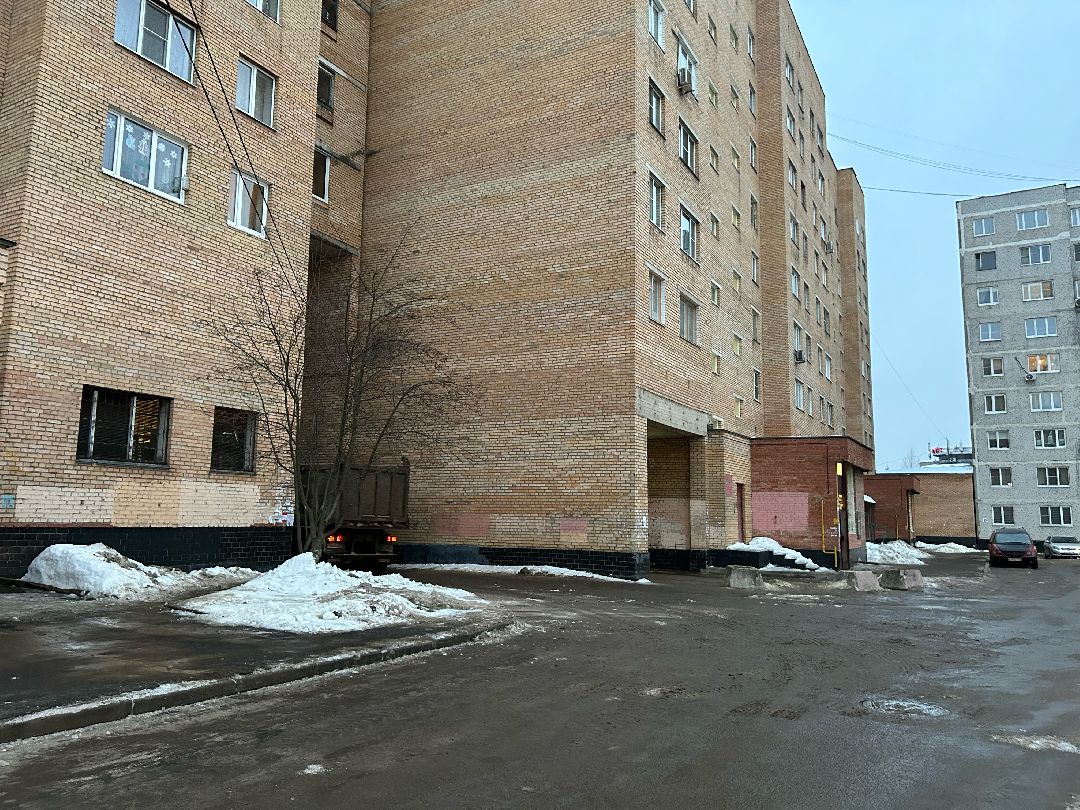 Фрязино, общество