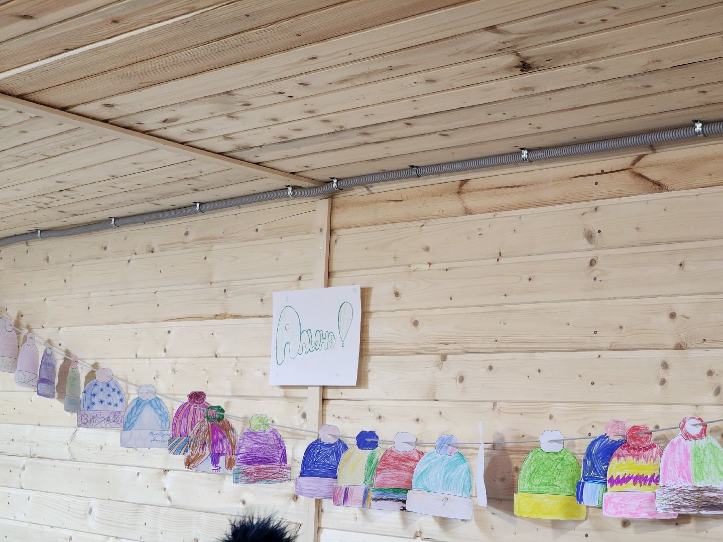 долгопрудный, центральный парк, мастер-класс, коньки, дети, вертикалки,