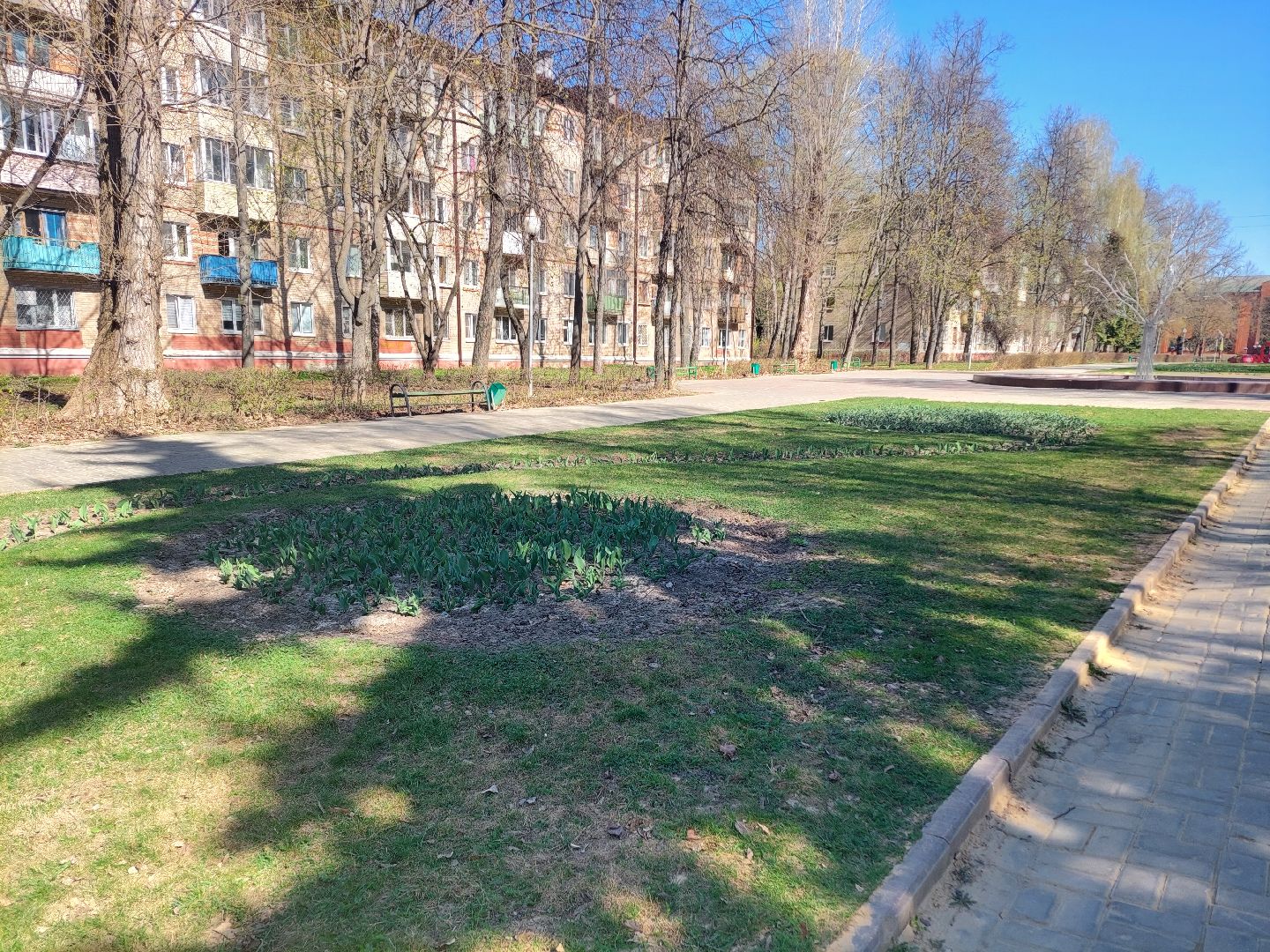 благоустройство, город, цветы
