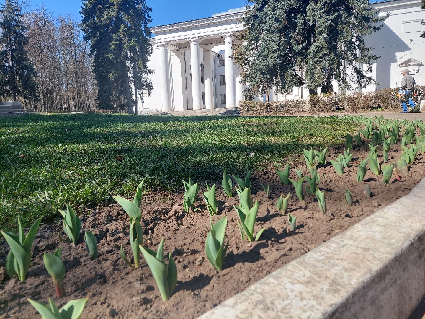 благоустройство, город, цветы