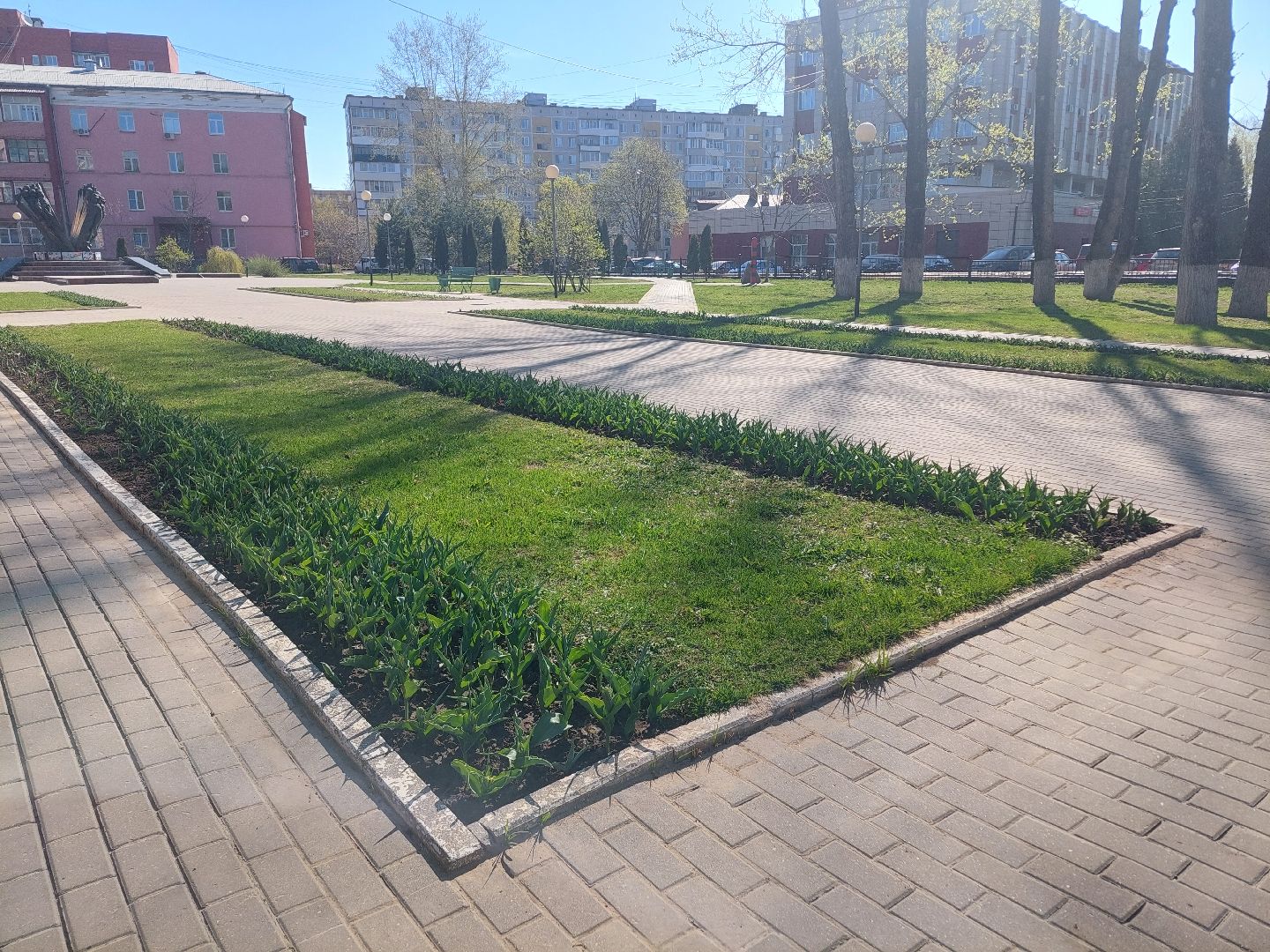 благоустройство, город, цветы