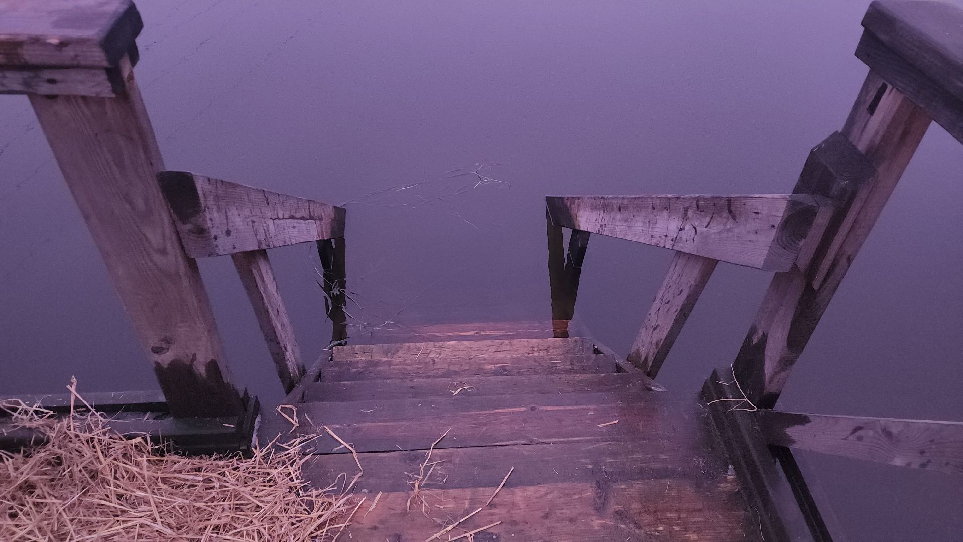 пушкино, родник, река уча, купель, крещение господне, крещенская купель, крещенские купания, спасатели, вертикалки,