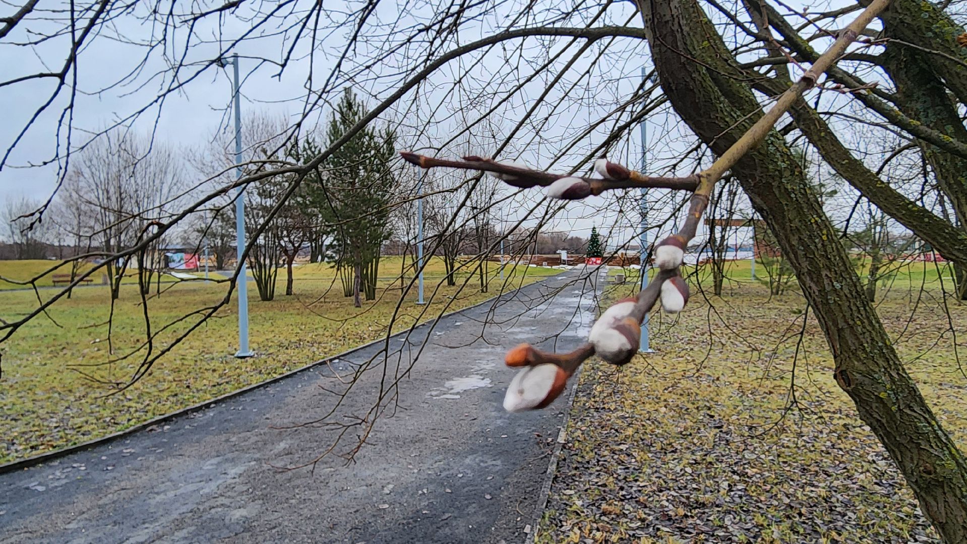 Бронницы, Парк Бронницкий Луг, Мероприятие в парке Бронницкий Луг, вертикалки, Дети,
