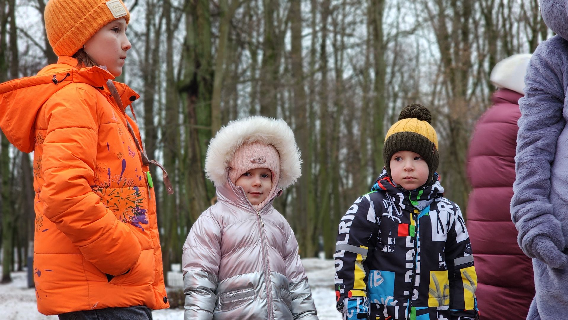 дети, парки Подмосковья, Лосино-Петровский,