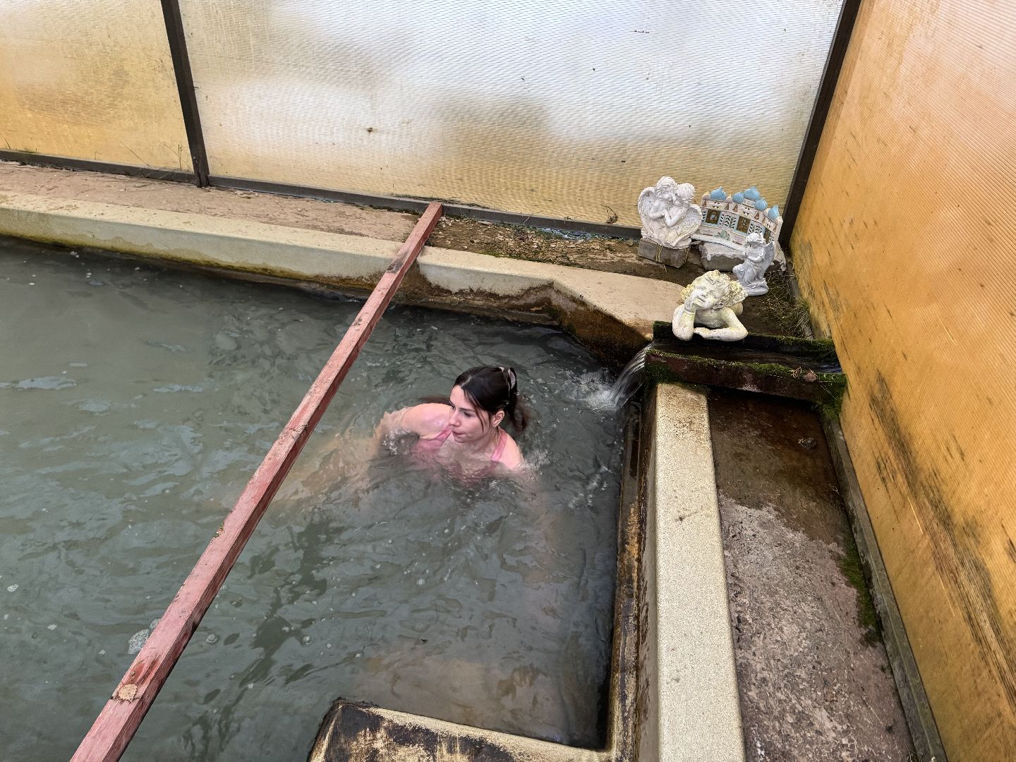 шаховская, крещение, крещение господне, вертикалка,