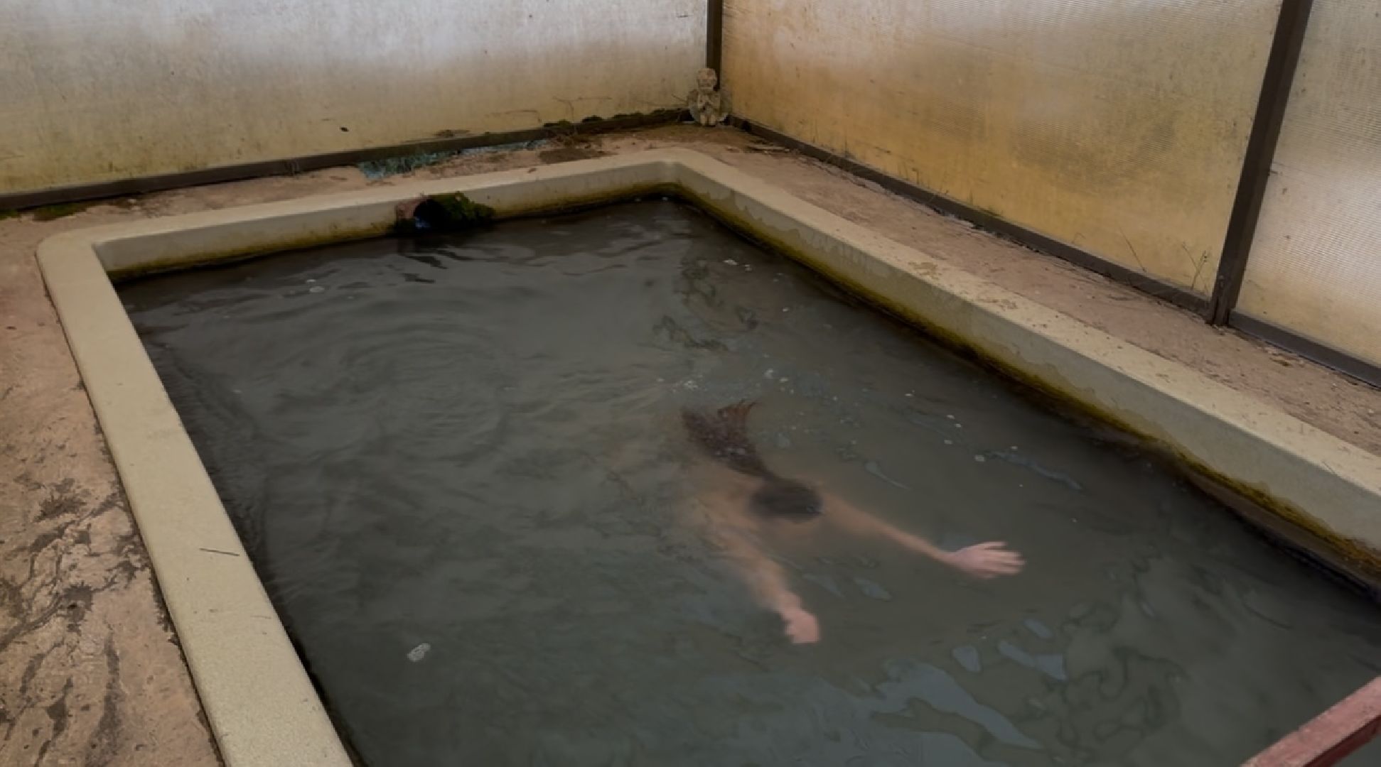 шаховская, крещение, крещение господне, вертикалка,