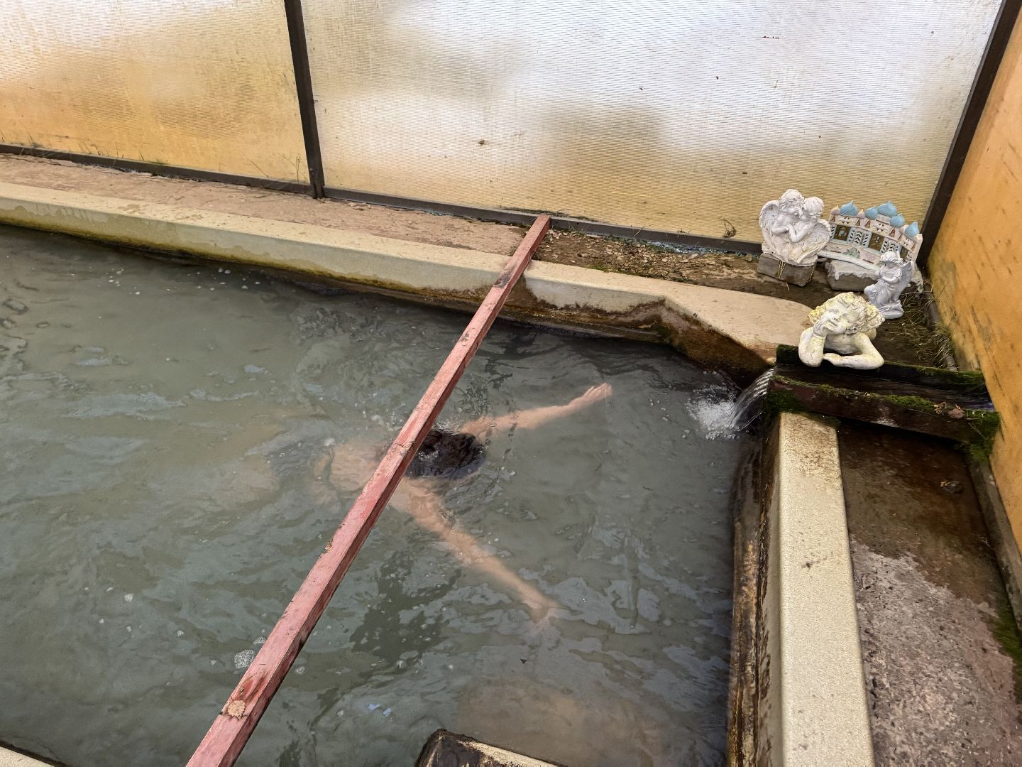 шаховская, крещение, крещение господне, вертикалка,