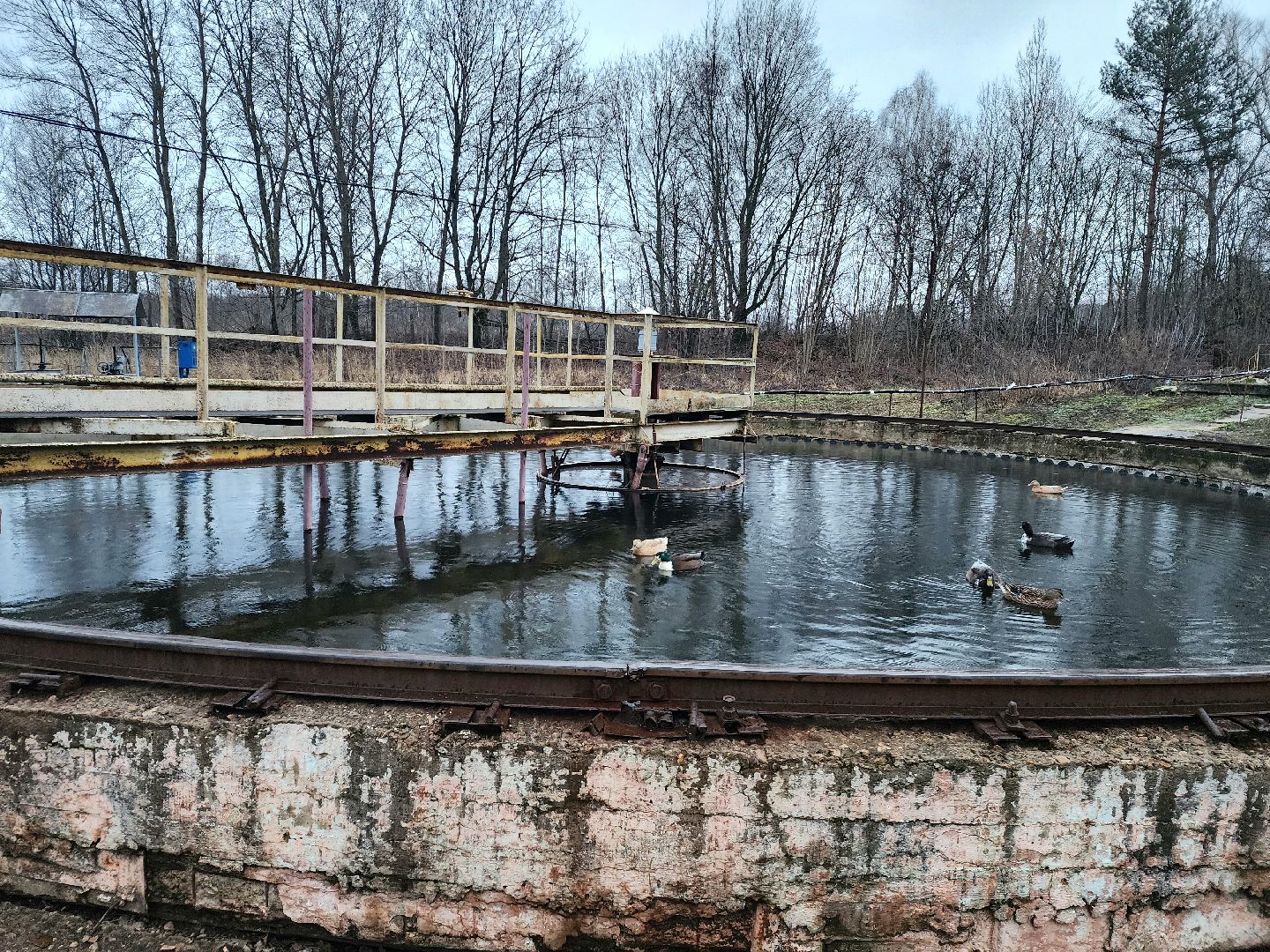 пущино, серпухов, экология, животные, вертикалки,