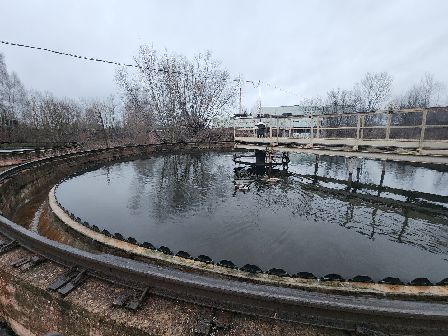 пущино, серпухов, экология, животные, вертикалки,