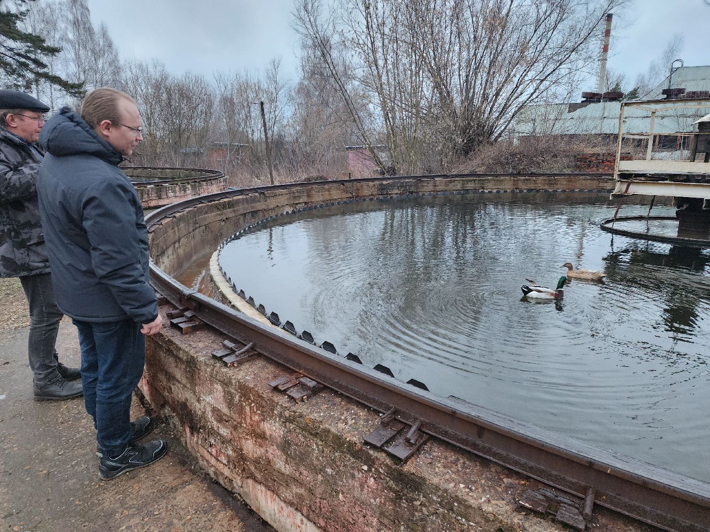 пущино, серпухов, экология, животные, вертикалки,