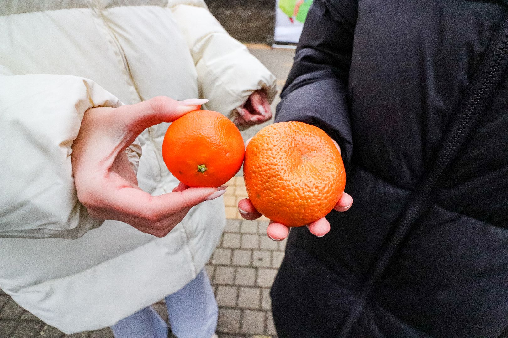 Клин, общество, парки, спорт, игры с детьми, зима в подмосковье, вертикалки,