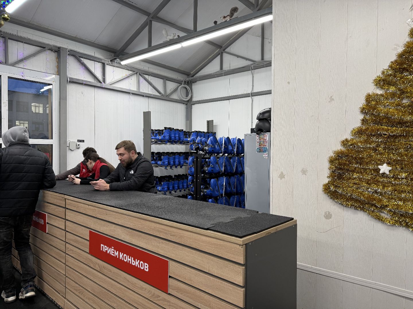 парки зимой, зимние активности, фигурное катание, мастер-класс, вертикалки,