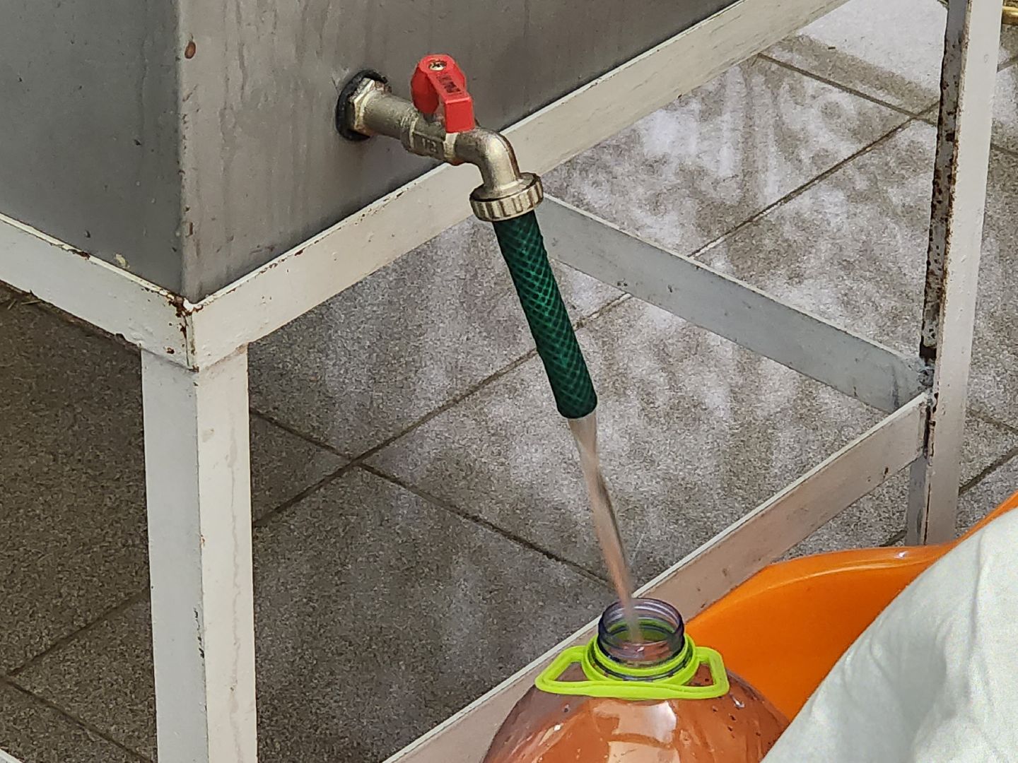 королёв, крещенские купания,