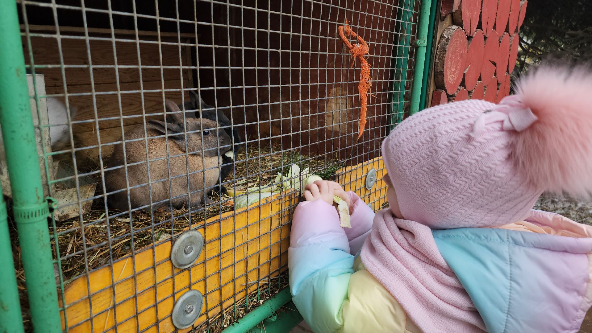 люберцы, дети, наташинский парк, семейные выходные,