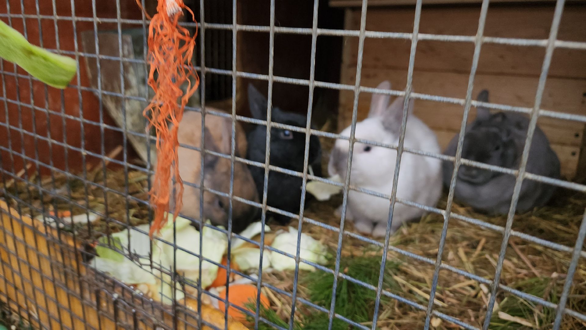 люберцы, дети, наташинский парк, семейные выходные,