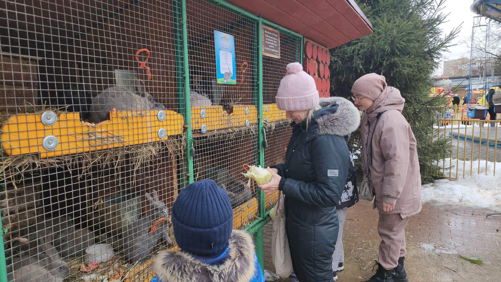 люберцы, дети, наташинский парк, семейные выходные,