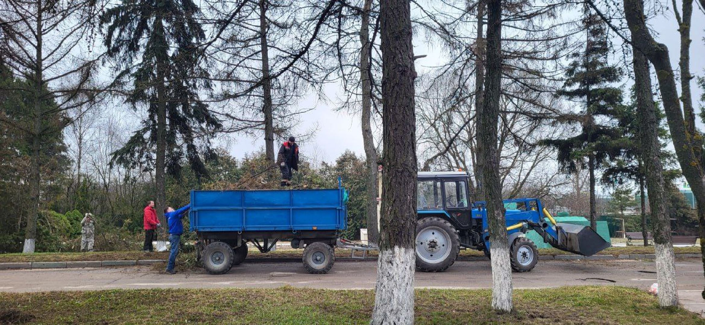Солнечногорск, чемпион, Михайлов, хоккеист, субботник