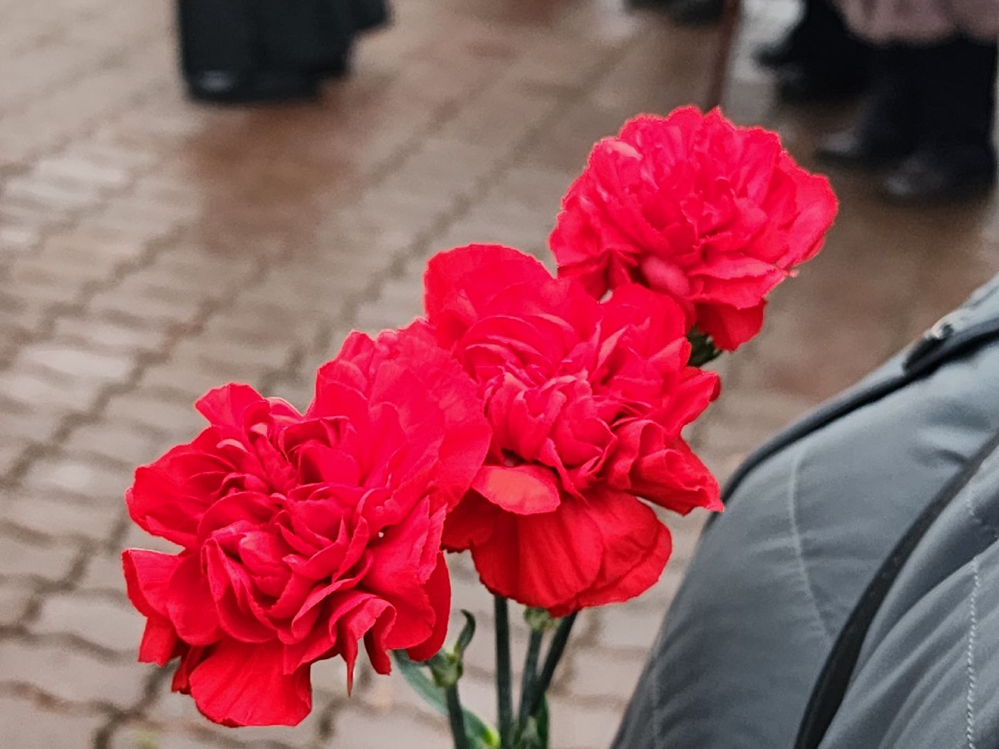 вертикалки, пушкино,