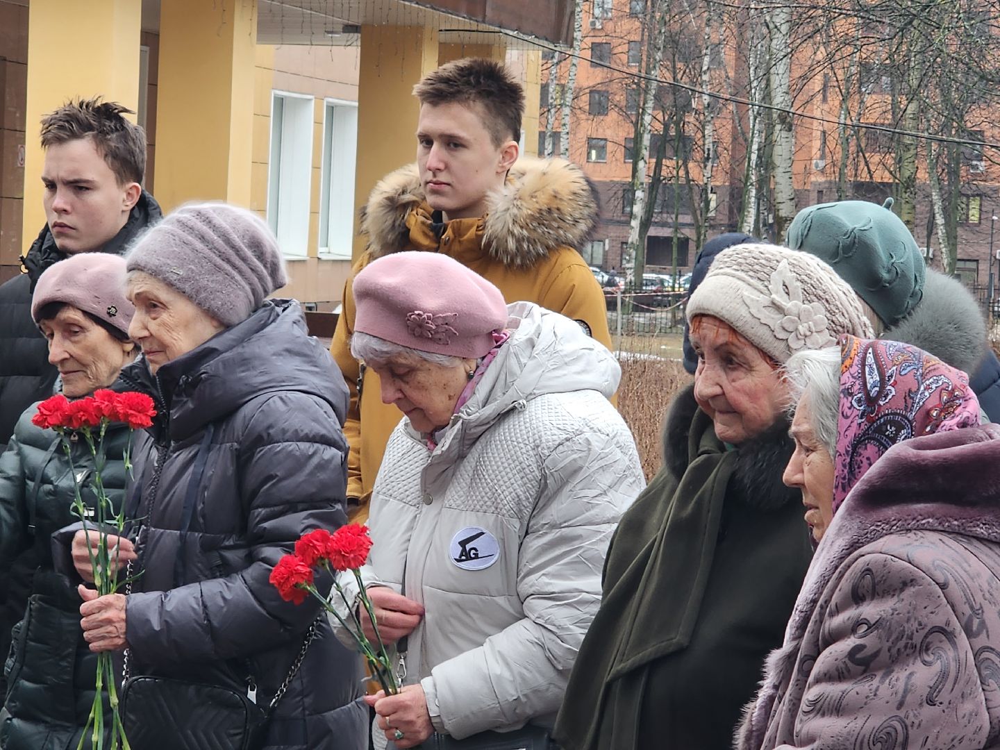 вертикалки, пушкино,