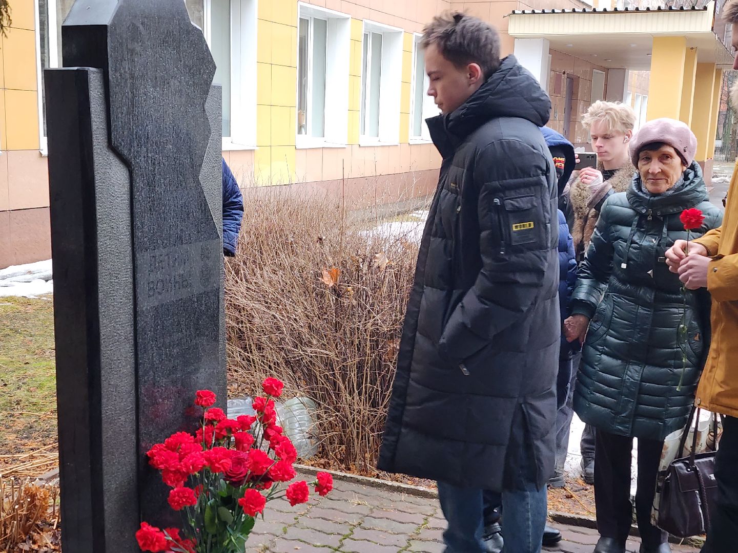 вертикалки, пушкино,