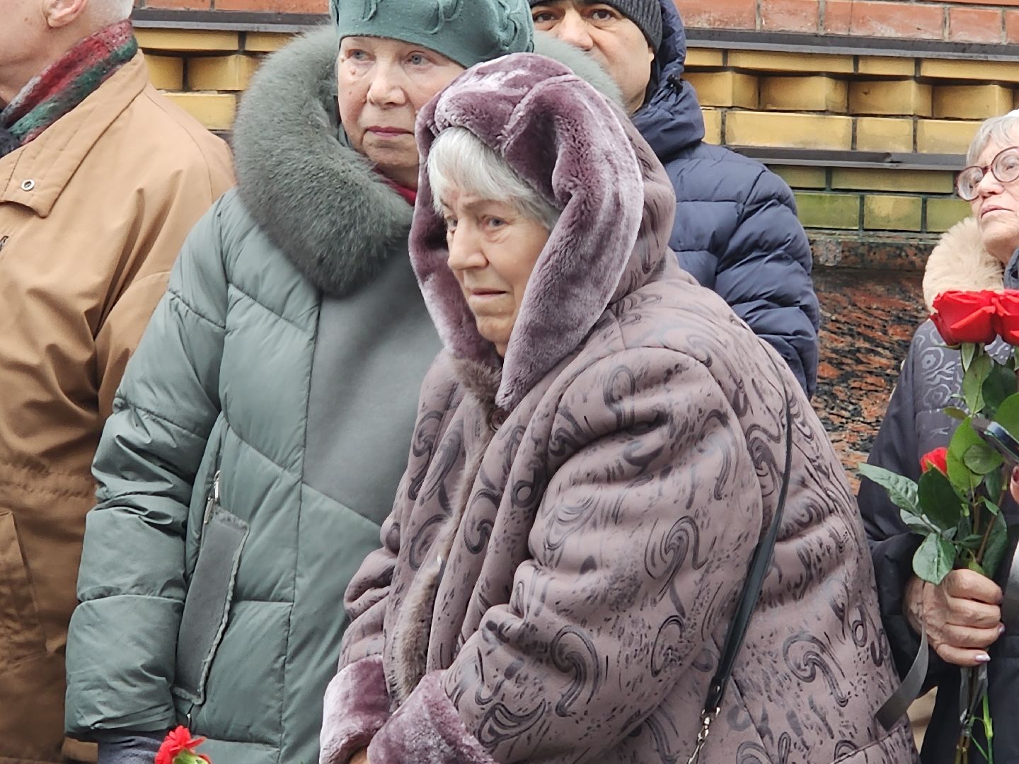 вертикалки, пушкино,