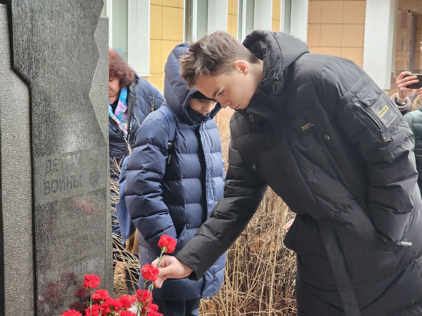 вертикалки, пушкино,