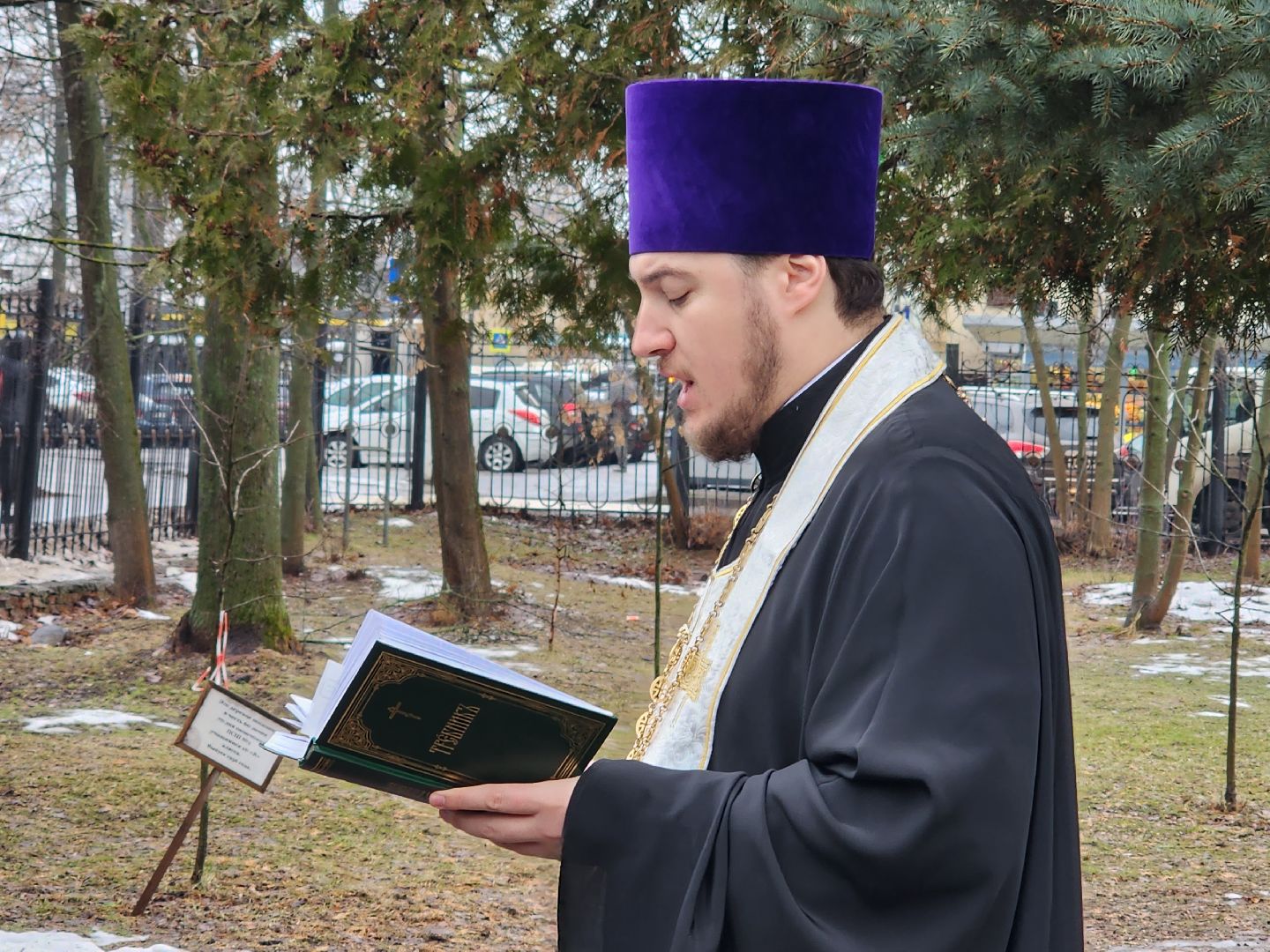 вертикалки, пушкино,