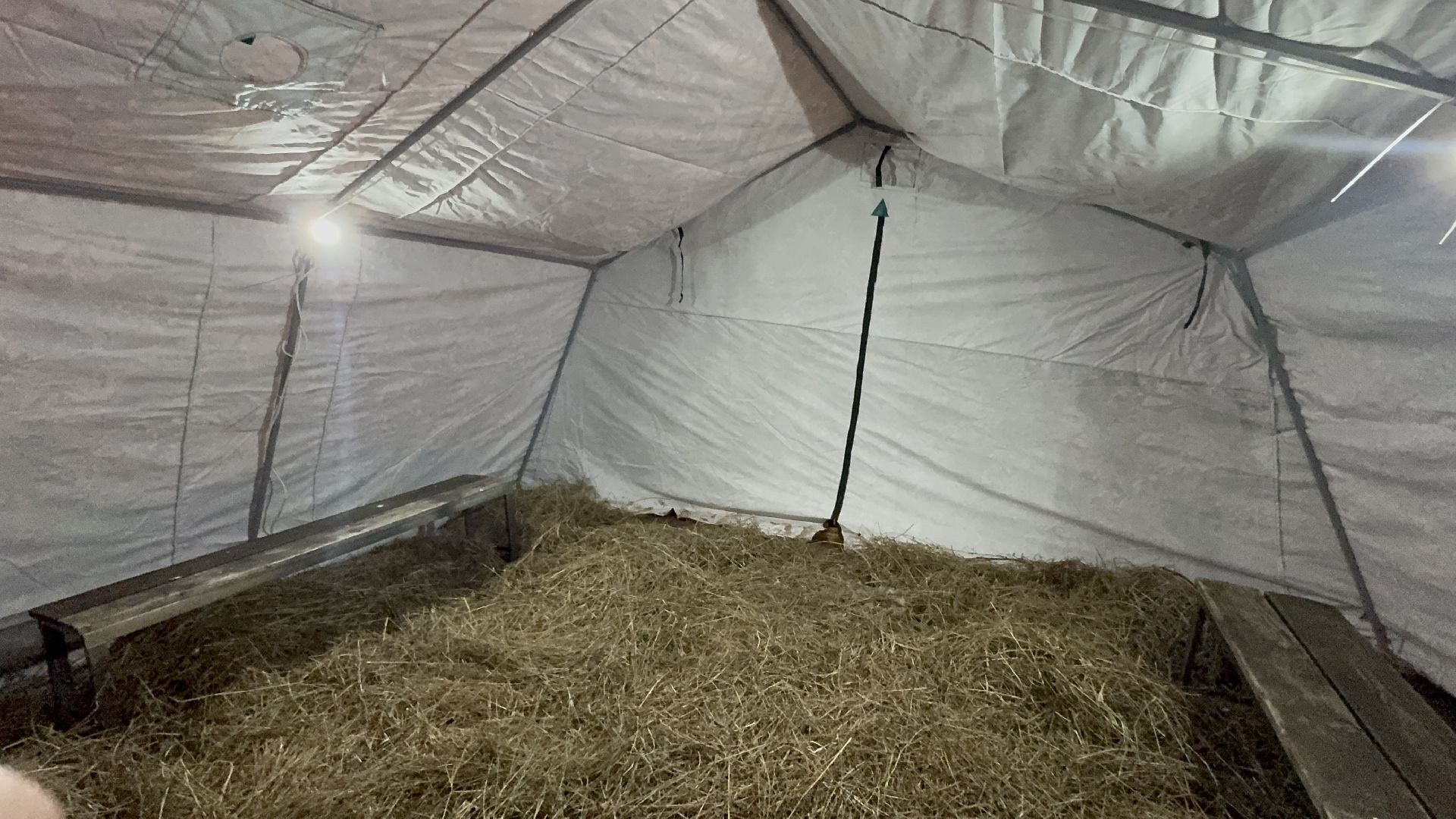 солнечногорск, жители, крещение, купель, вертикалки,