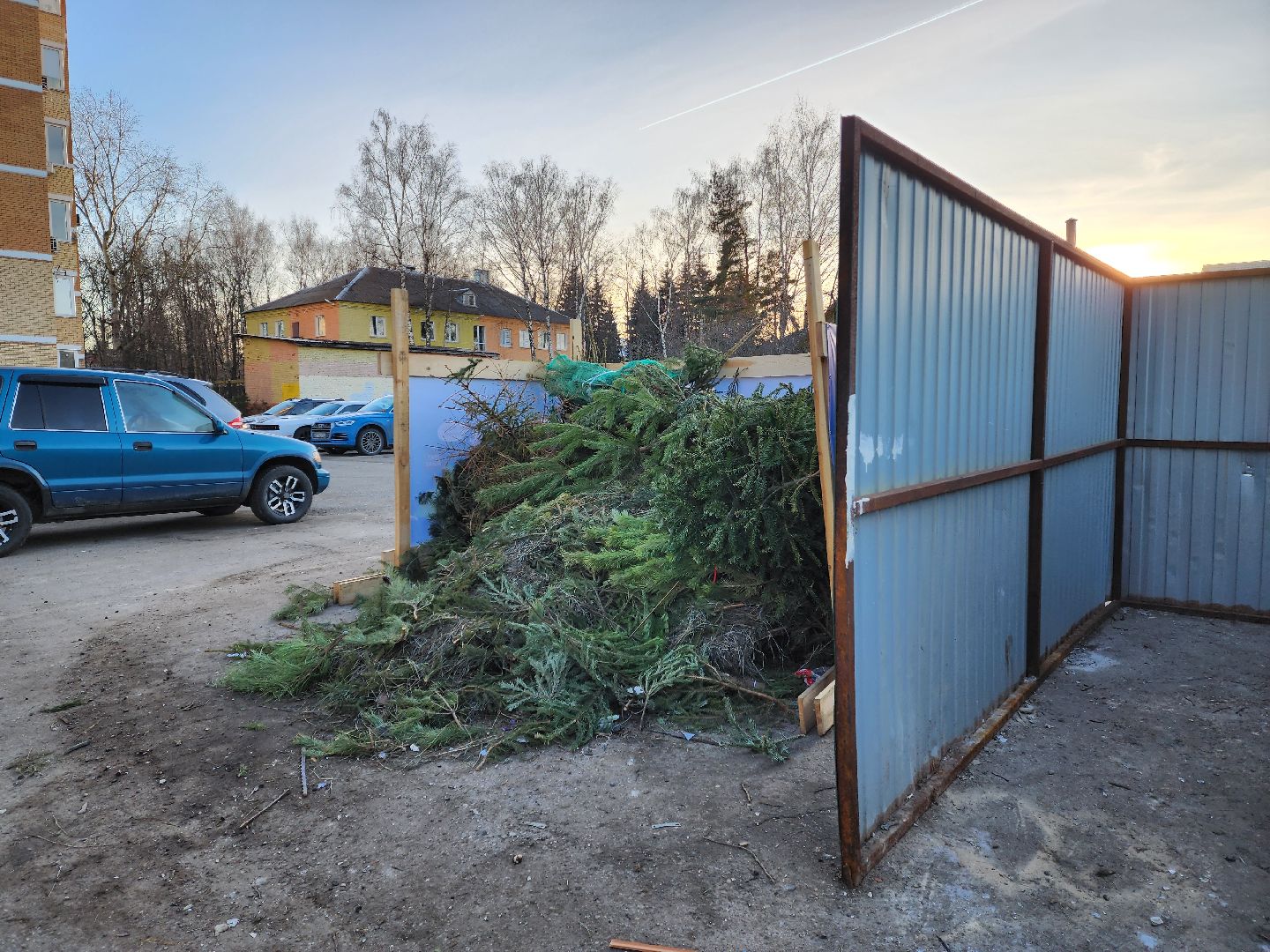 раменское, экология, акция по сбору новогодних елей, вертикалки,