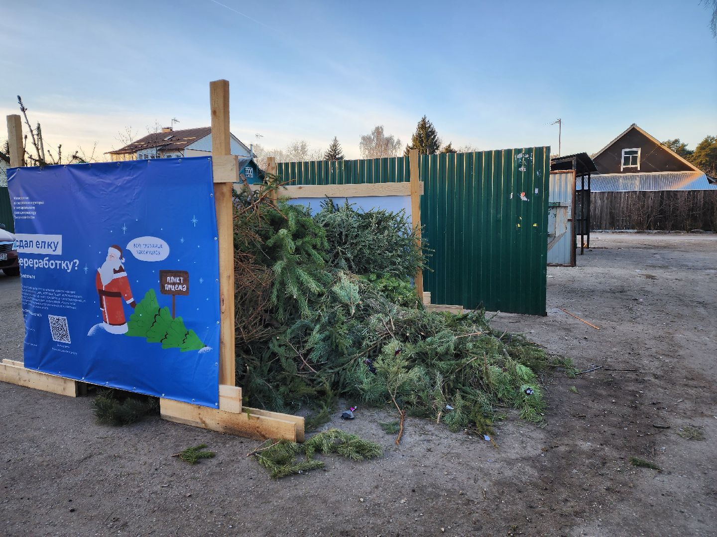 раменское, экология, акция по сбору новогодних елей, вертикалки,