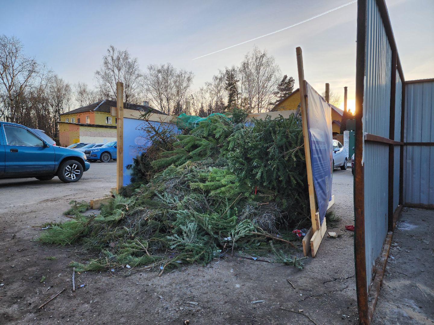 раменское, экология, акция по сбору новогодних елей, вертикалки,
