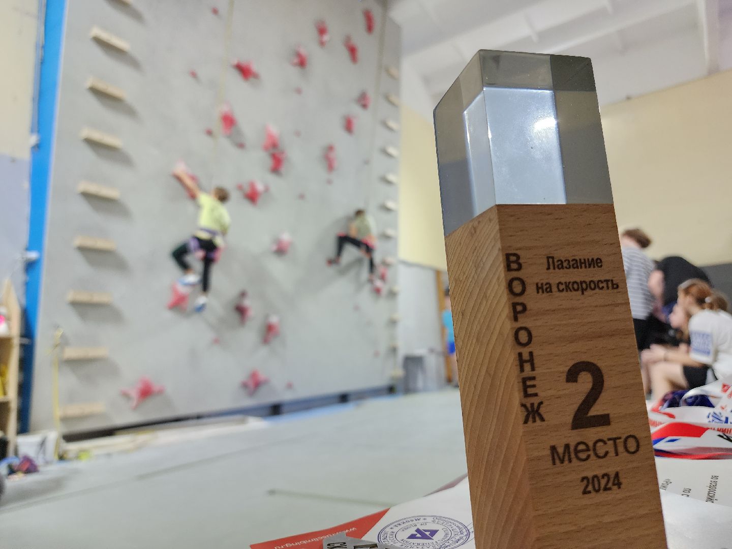 Егорьевск, Подмосковье, Московская область, скалодром, вертикалки,