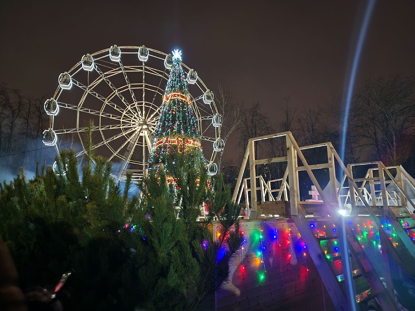 Крещение, Купель, Наташинский парк, вертикалки,