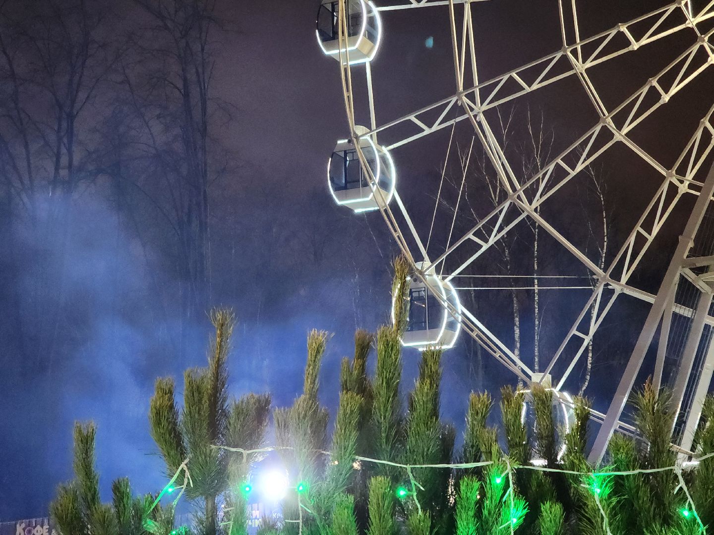 Крещение, Купель, Наташинский парк, вертикалки,