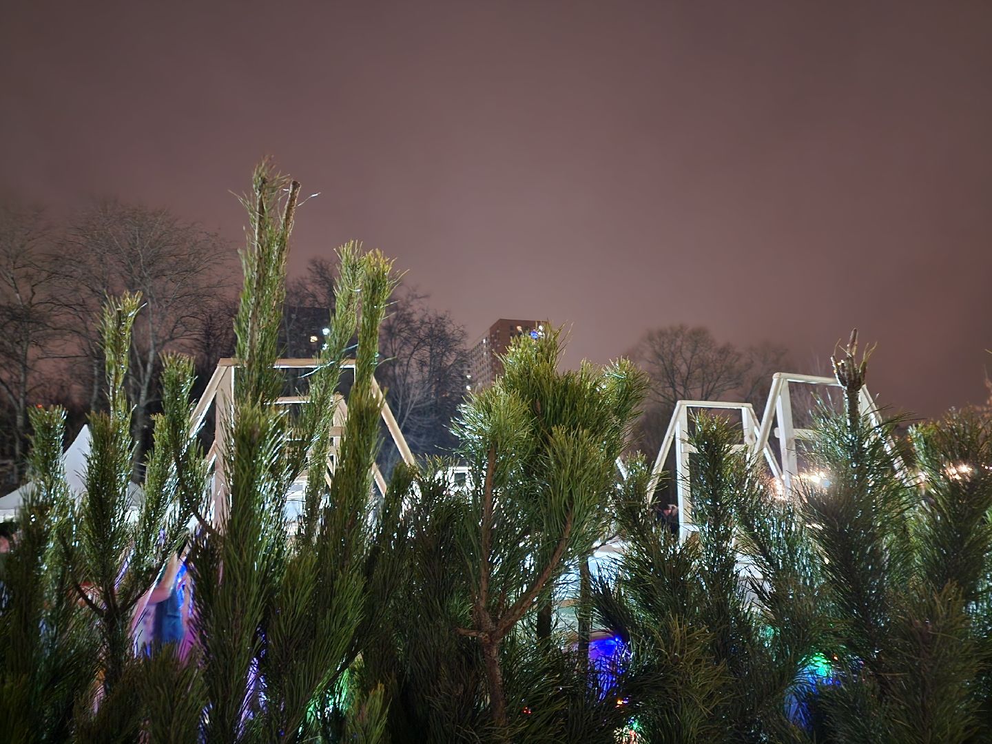 Крещение, Купель, Наташинский парк, вертикалки,