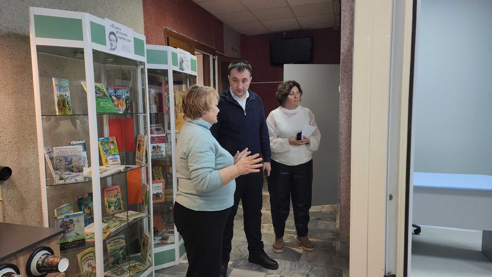 вертикалка, библиотека, ремонт, вертикалка,