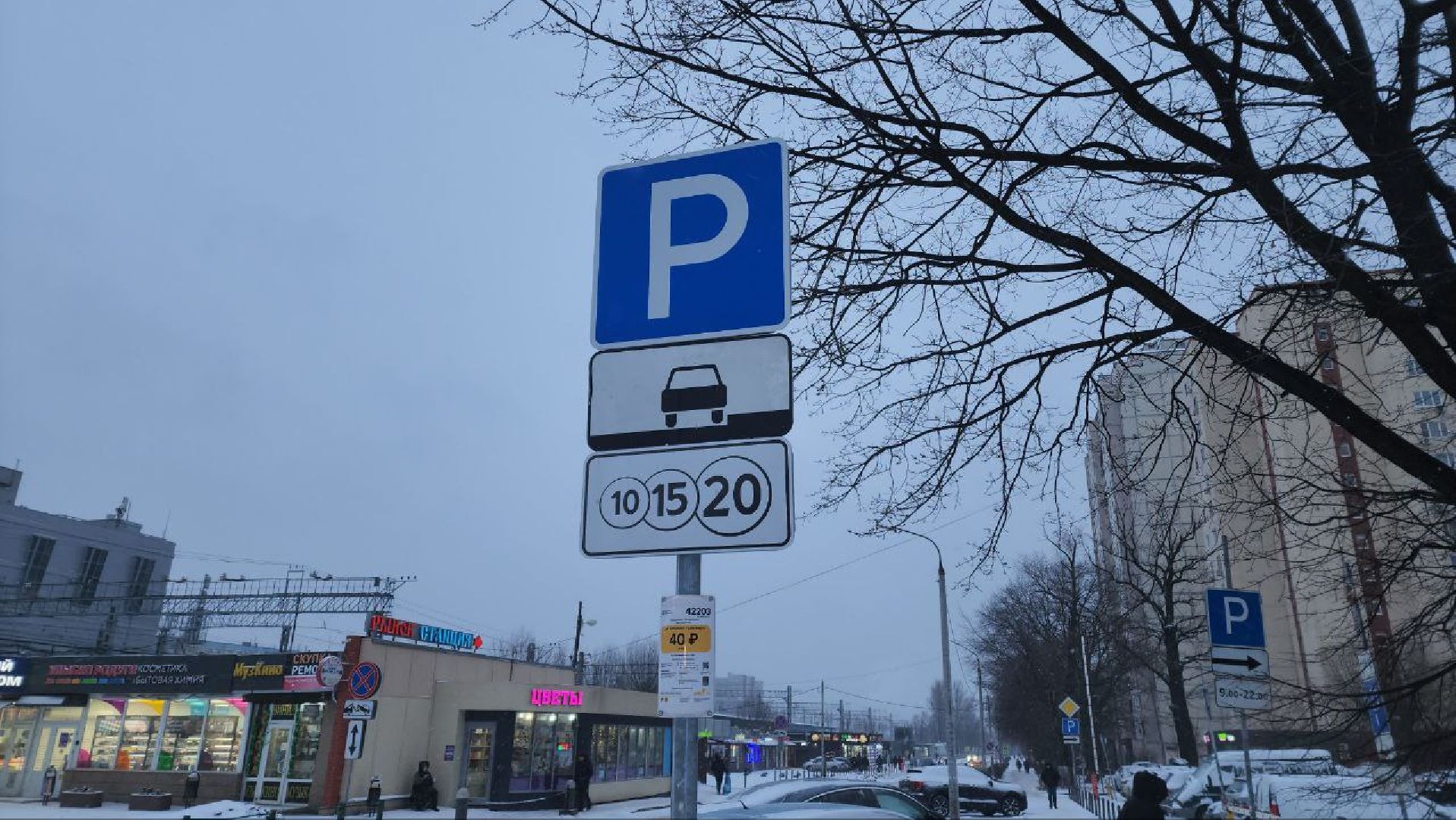 реутов, вертикалки, платные парковки, тариф, автомобиль,