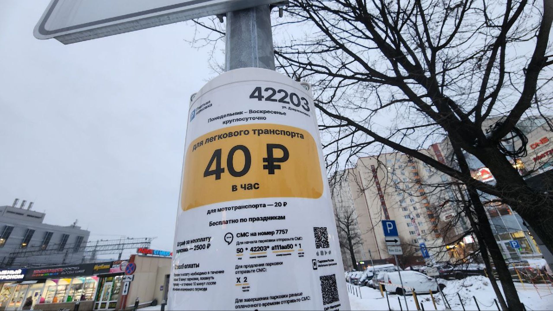 реутов, вертикалки, платные парковки, тариф, автомобиль,