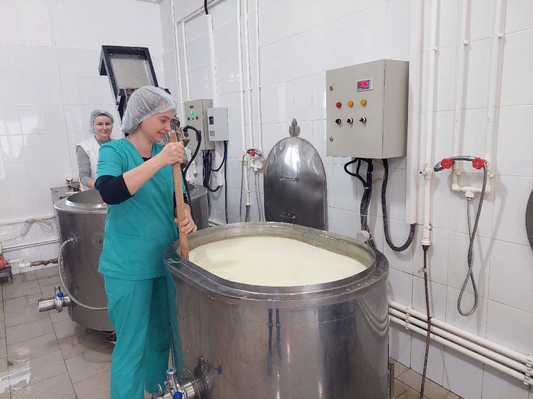 Воскресенск, общество