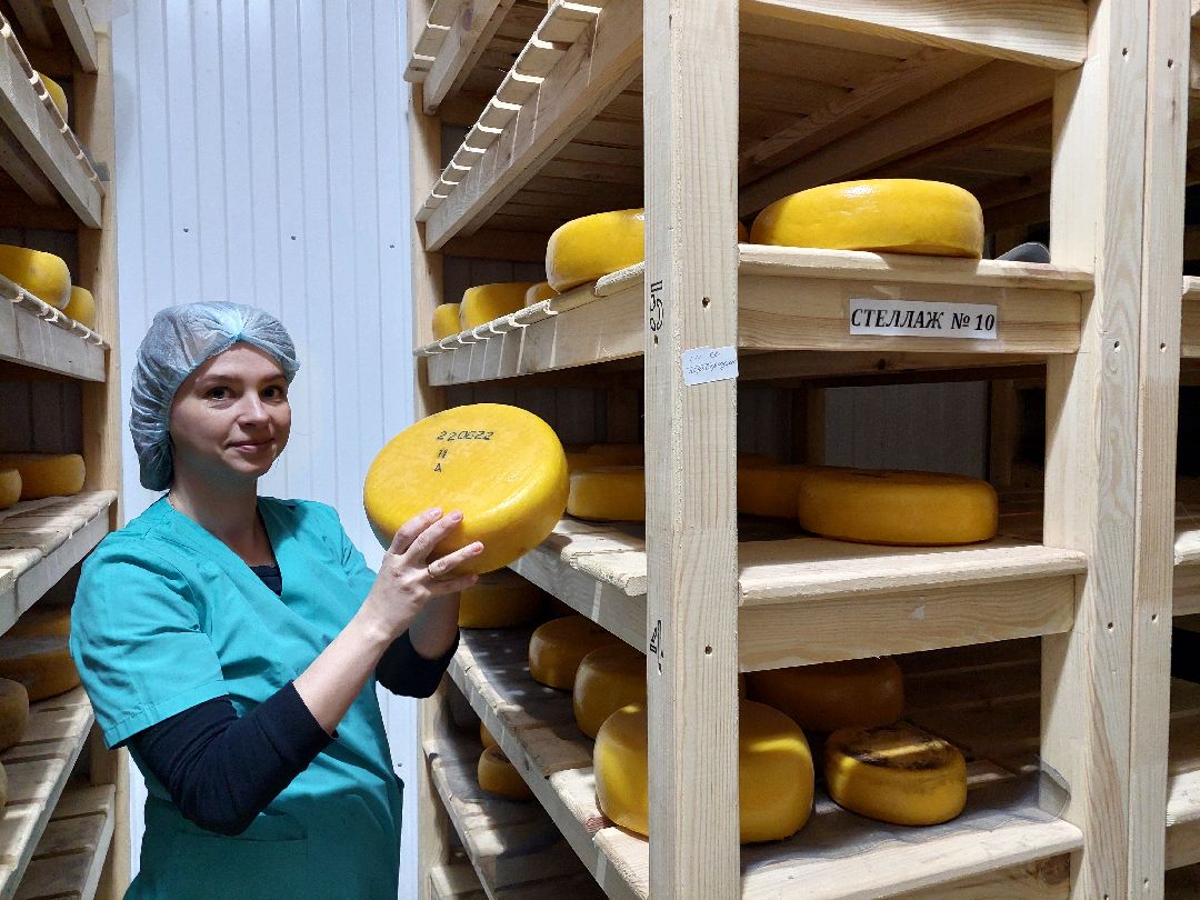 Воскресенск, общество