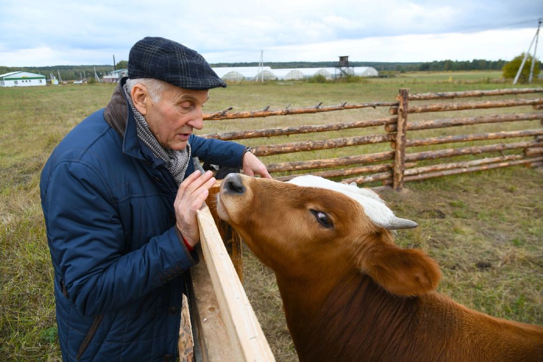 Воскресенск, общество