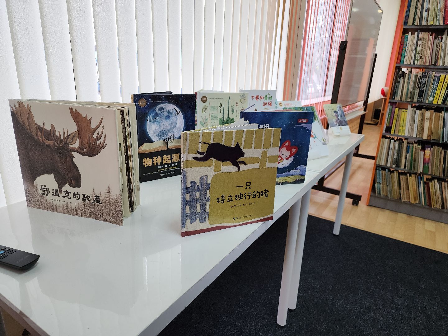 Дубна, Библиотека Левобережья, Китай, Россия, Дети,