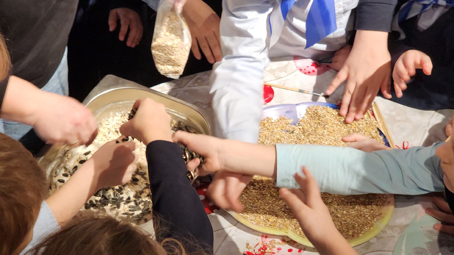 экология, Эко кормушки для птиц, протвино,