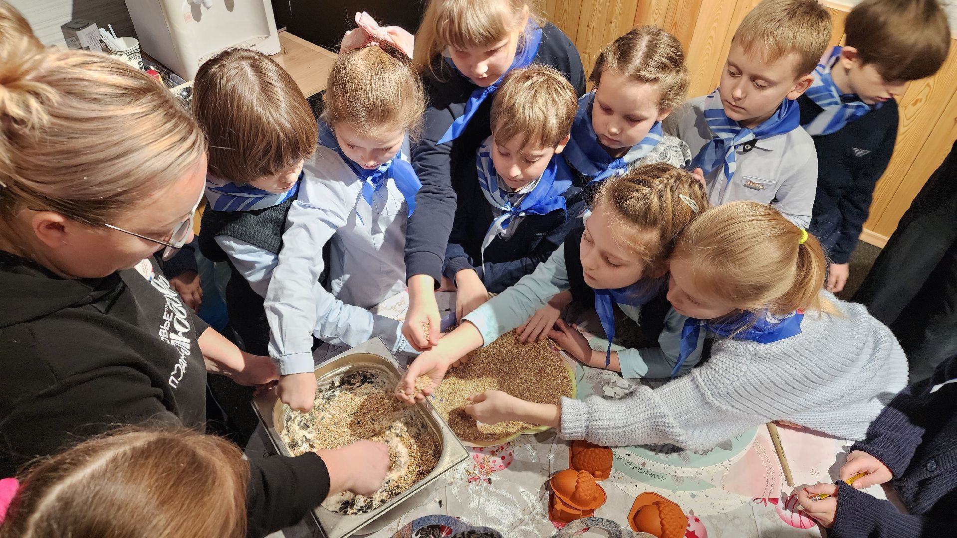 экология, Эко кормушки для птиц, протвино,