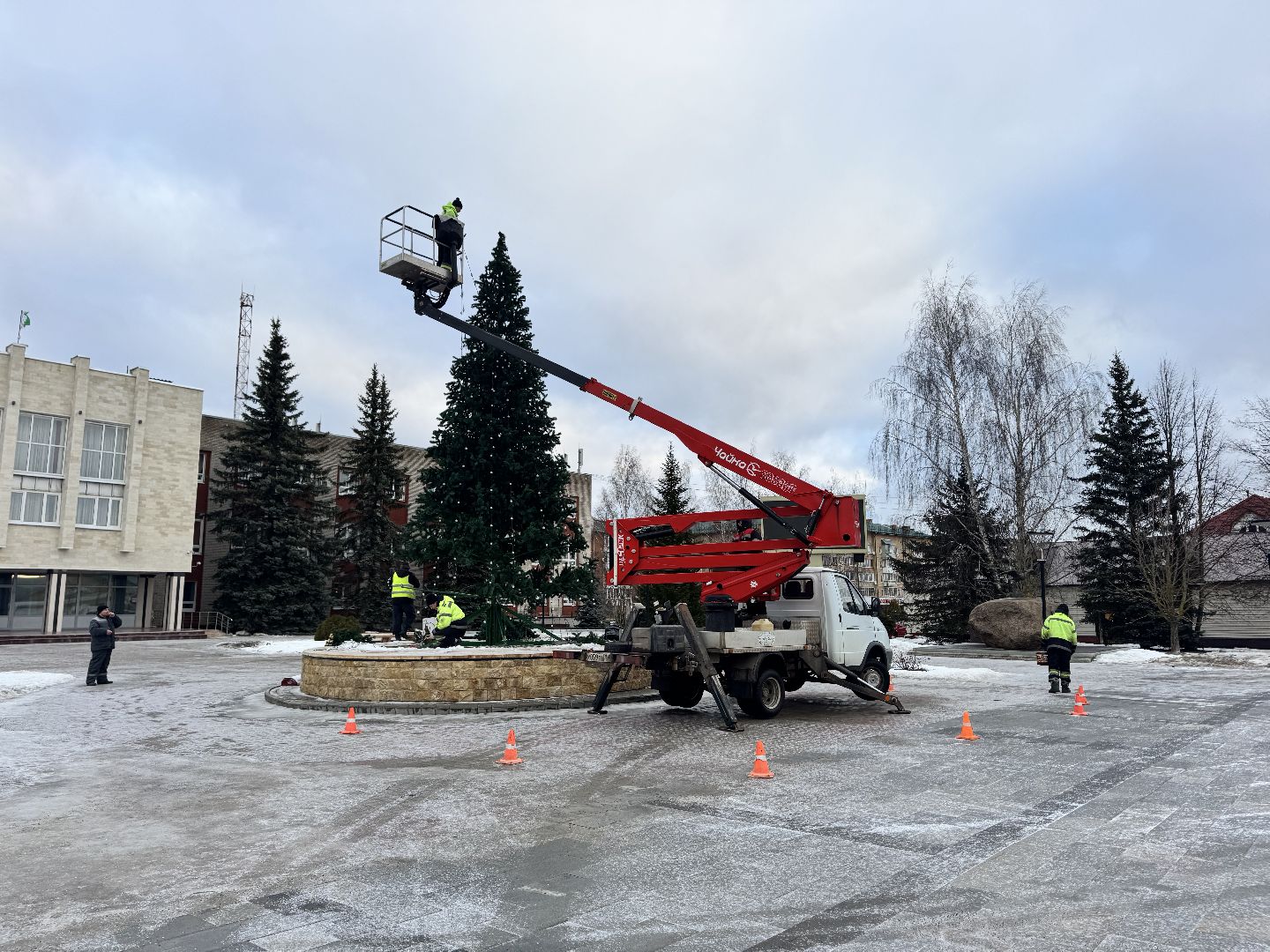 шаховская, разборка елки, ёлка, благоустойство, вертикалки,