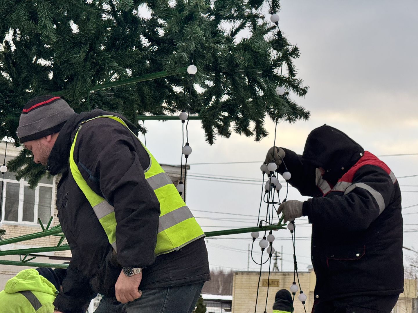 шаховская, разборка елки, ёлка, благоустойство, вертикалки,