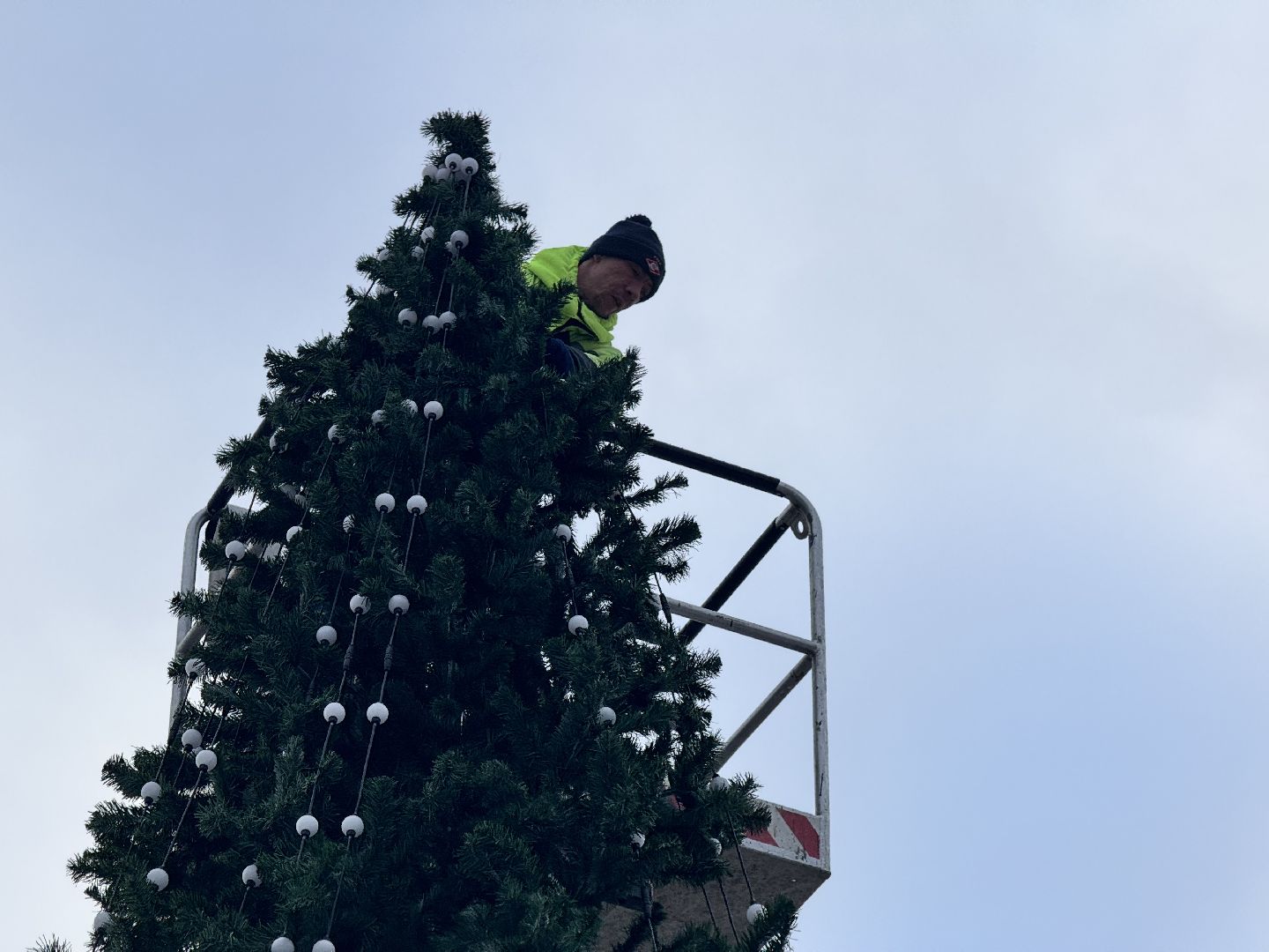 шаховская, разборка елки, ёлка, благоустойство, вертикалки,